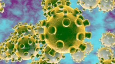 Sputum Testing Provides Higher Rate Of Covid 19 Detection