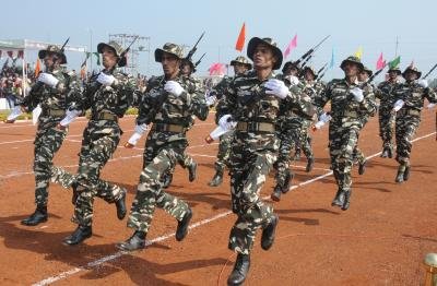 Terrorists Hurl Grenades At Capf Party Dont Explode