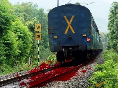 Two Wr Officials Killed In Mumbai Train Accident