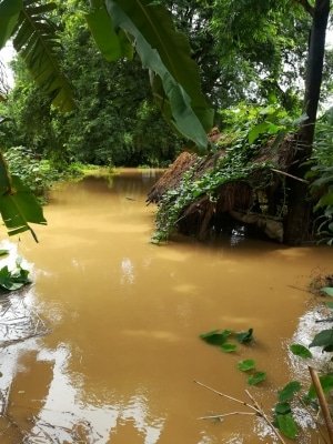 16 Dead Over 8 Lakh People Affected In Odisha Floods