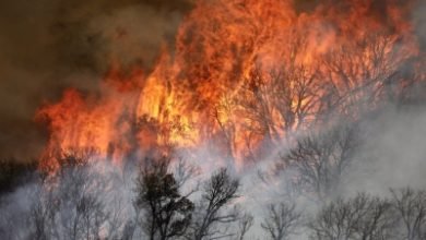 7012 Fires Burn 1 5 Mn Acres Of Land In California