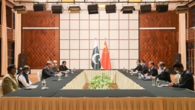 China To Support Pak In Choosing Development Path Independently