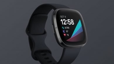Fitbit Introduces Smartwatch That Manages Daily Stress