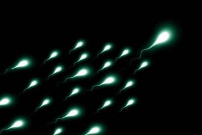 Human Sperm Swims In Entirely Different Way Than Earlier Thought