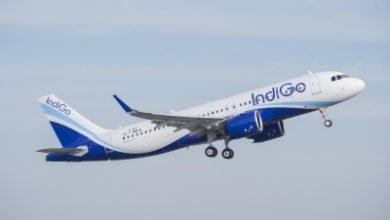 Indigo To Raise Rs 4k Cr Via Qualified Institutions Placement
