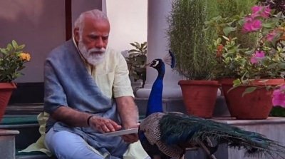 Modis Video With Peacock Will Give You Ultimate Sunday Vibes