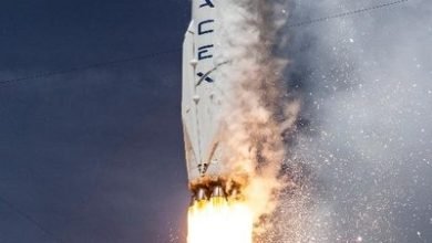 Spacexs Mars Starship Prototype Soars On Test Flight