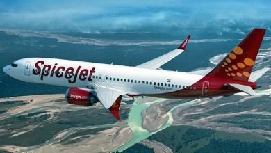 Spicejet Brings Back 269 Indians From Amsterdam