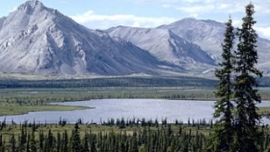 Us Approves Oil Drilling In Arctic Wildlife Refuge