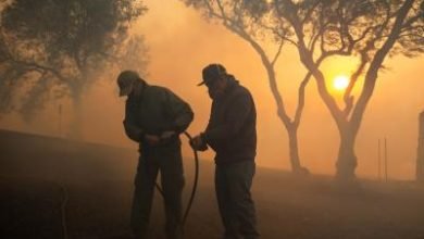 Wildfire In Us Northern California 40 Contained