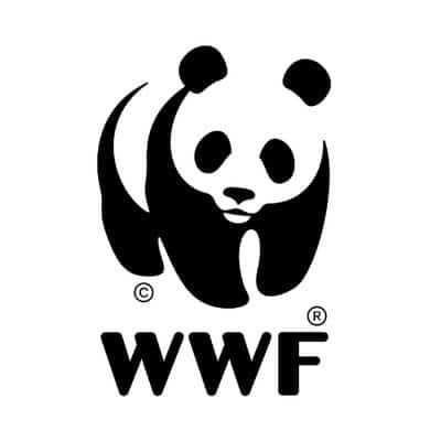 Wwf Hosts Dragonfly Festival To Underline Need For Conservation
