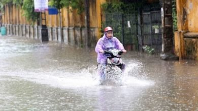 3 Dead 113 Injured As Typhoon Lashes Vietnam