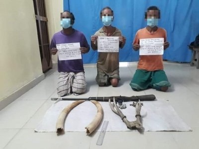 3 Poachers Held In Assam Elephant Tusks Deer Horn Seized