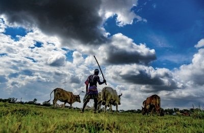 Agri Income Vibrant But Risk From Excessive Rains Persists