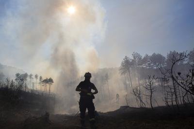 Bolivia Declares National Emergency Over Forest Fires