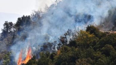 Climate Change Increases Frequency Of Wildfires Globally Study