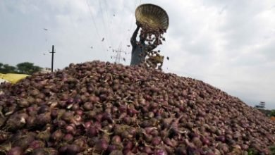 Cong Mp Demands Removal Of Ban On Onion Exports