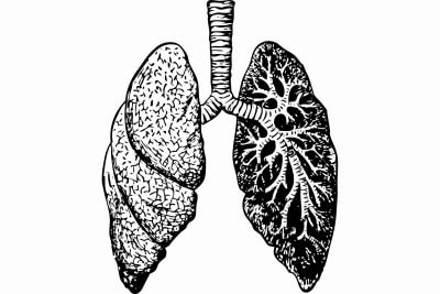 Early Bronchitis Linked To Worse Lung Health In Middle Age