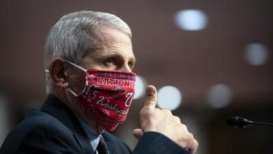 Fauci Disagrees With Trumps Latest Pandemic Remark