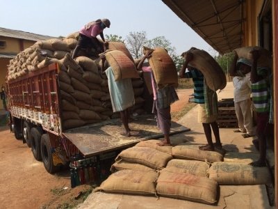 Govt Agencies May Procure 495 Lakh Tonnes Of Rice In 2020 21 Food Ministry