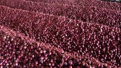 Ktaka Awaits Centres Nod To Lift Export Ban On Blore Rose Onion