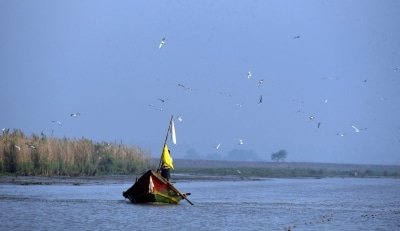 Odisha Plans River Cruises To Promote Tourism Sector