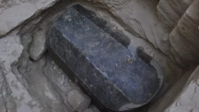 Pharaonic Tomb Discovered In Egypt