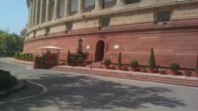 Rs Passes Institute Of Teaching And Research In Ayurveda Bill