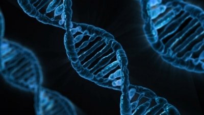 S Korean Telecom Firm Rolls Out App Based Dna Test Service