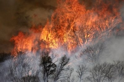 Three Major Wildfires Largely Contained In California