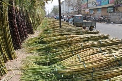 Value Added Product From Bagasse Developed In Up