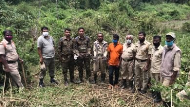 Venison Hunting Ktaka Gang Decamps With Tiger Claws Canines