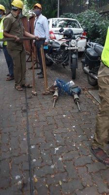 Welldonebmc Trends After Bmc Demolition Action At Kanganas Office