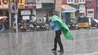 Widespread Rainfall Forecast In Andhra Over Next 2 Days