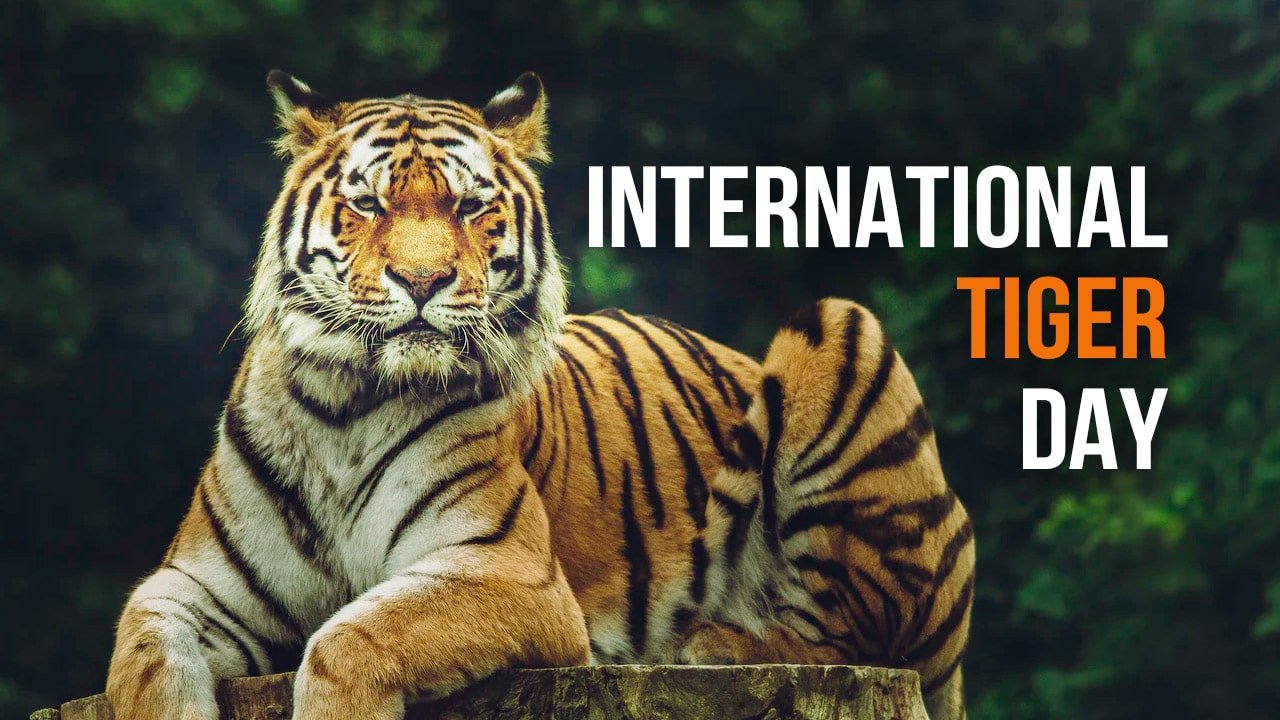 Know About The Theme Of World Tiger Day On 29 July