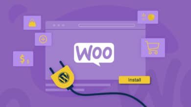 Top Woo Commerce Plugins For Your Shopping Platform