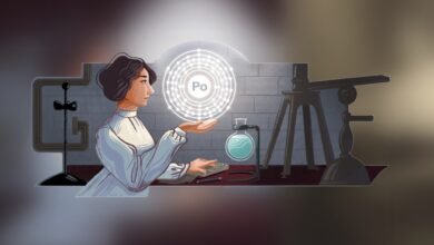 Google Doodle Pays Tribute To Romanian Physicist Stefania Maracineanu
