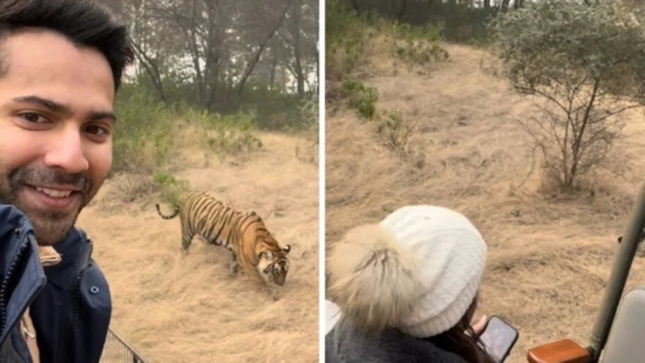 Varun Dhawan And Natasha Dalal Jungle Safari
